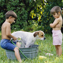 Dog Shower Sprayer | Bathtub Brush for Dogs